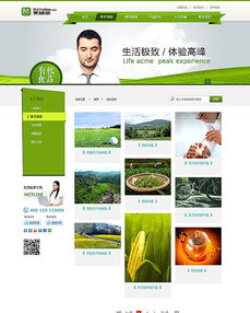 企业网站设计 构建专业、高效的数字门户